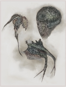 Bioform Composite (by Dave Senacal)